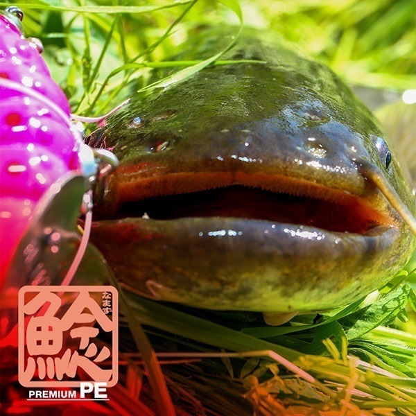 鯰(なまず)プレミアムPE